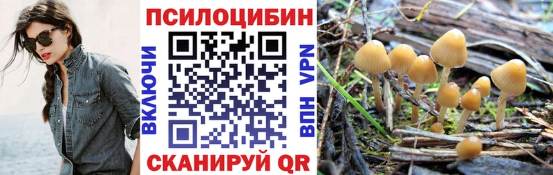 кракен ссылки  сайты даркнета Telegram  Псилоцибиновые грибы Psilocybine cubensis  закладка  Ростов-на-Дону 